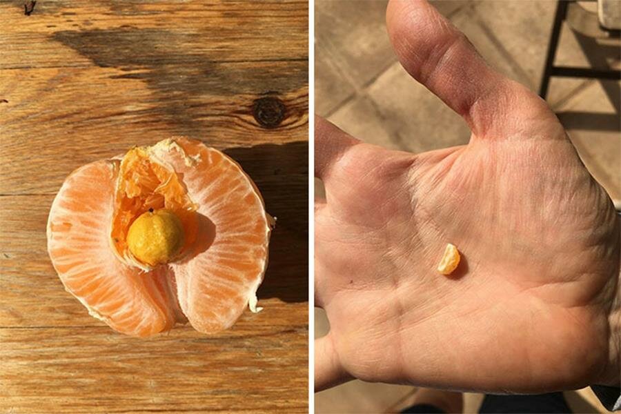 orange, orange, mini