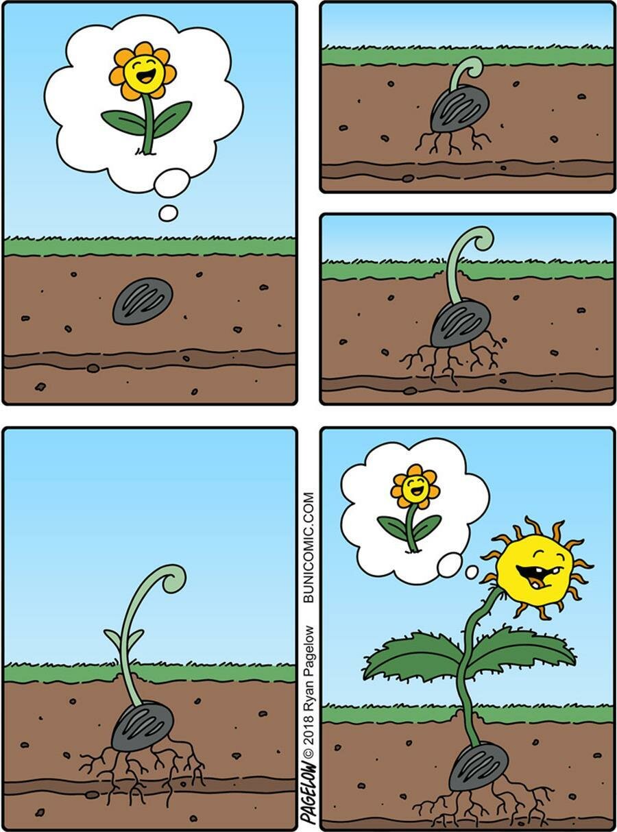 bd, buni, humour noir, buni comics