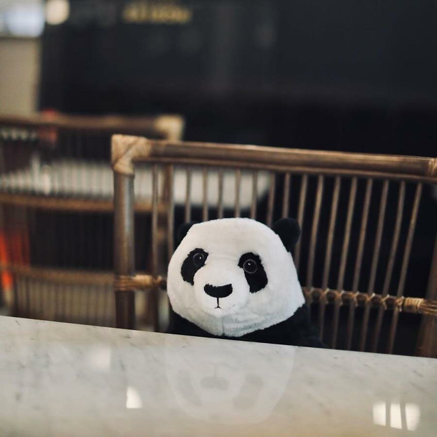 panda, restaurant