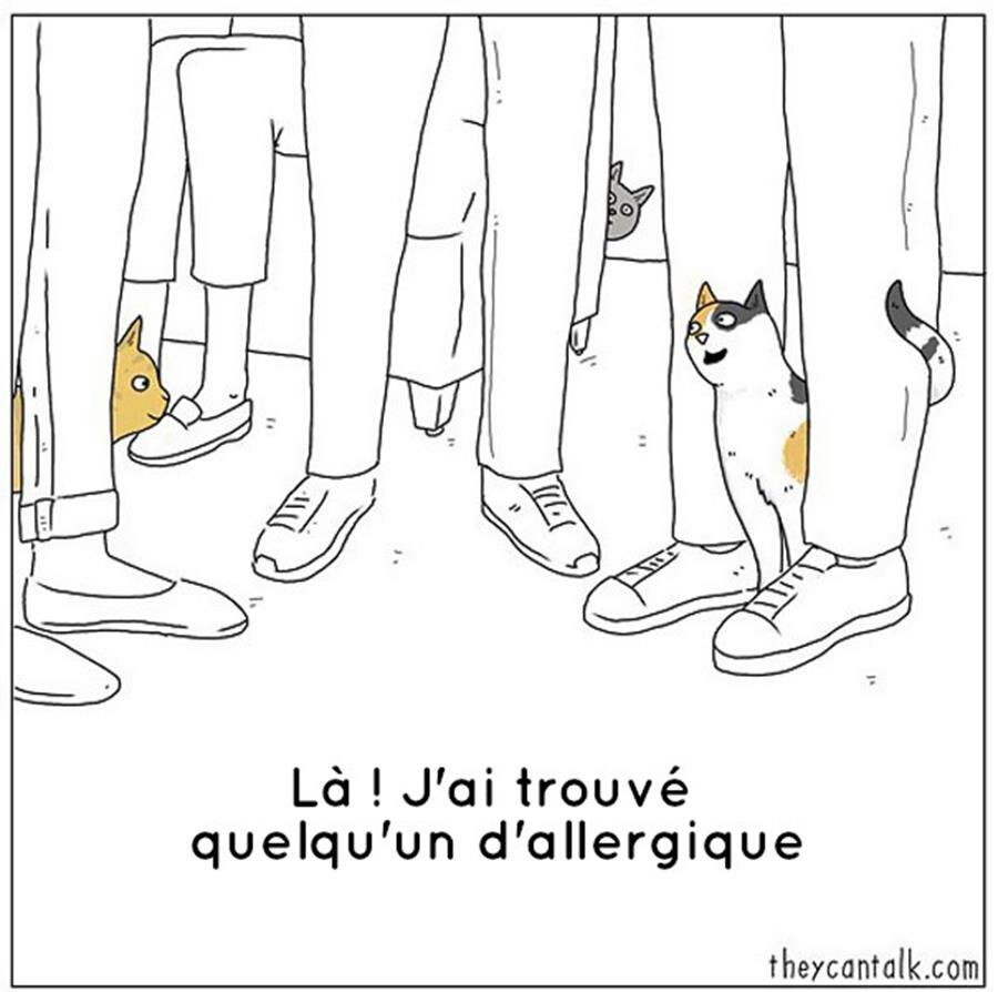 bd, animaux, parler