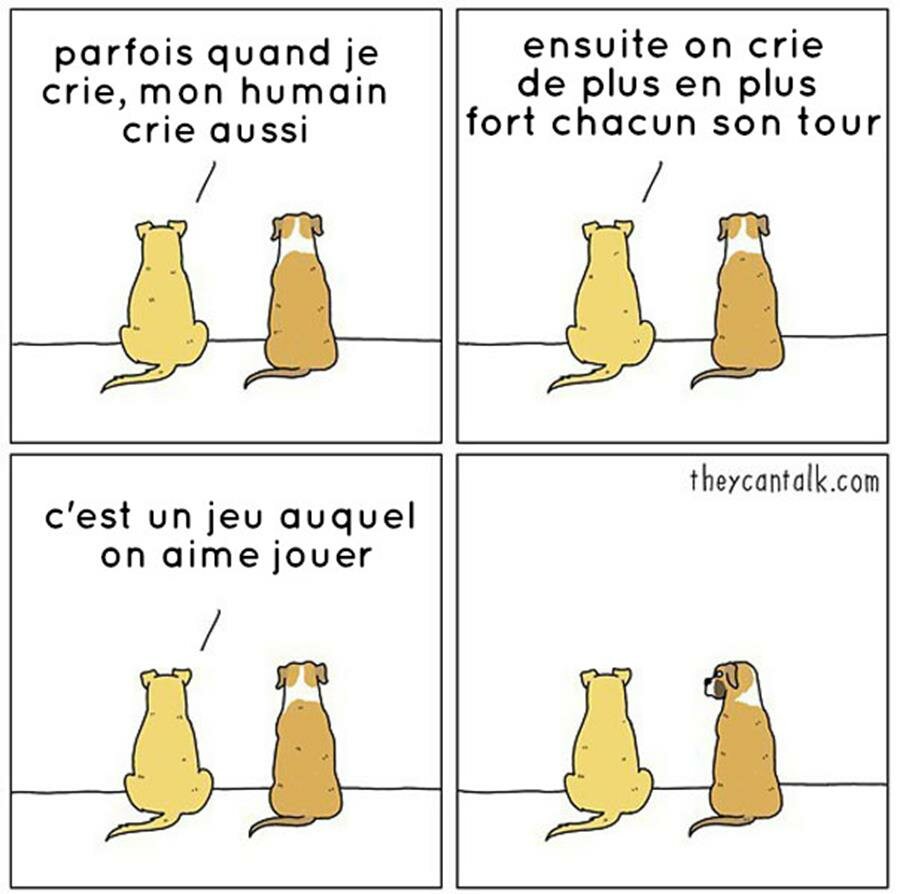 bd, animaux, parler