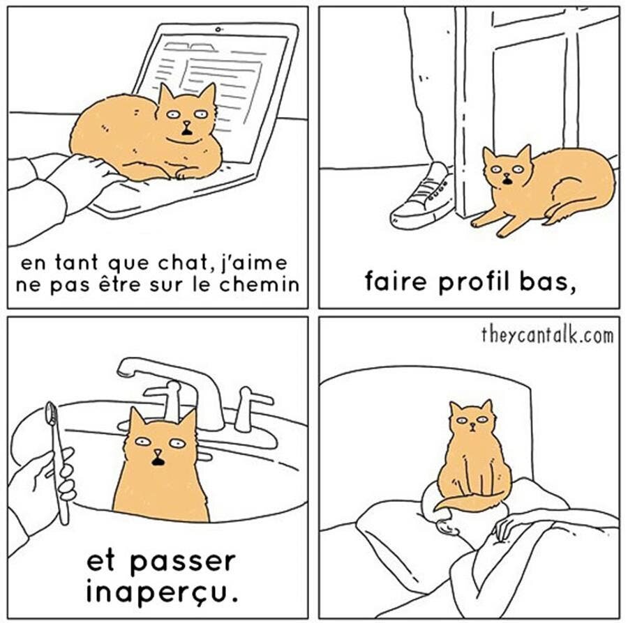 bd, animaux, parler