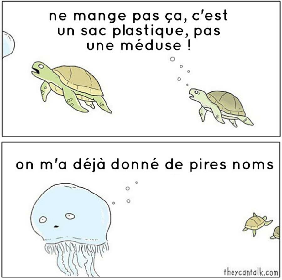 bd, animaux, parler