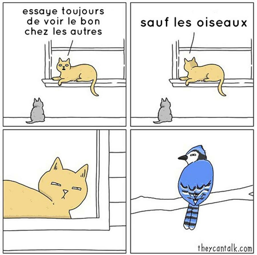 bd, animaux, parler