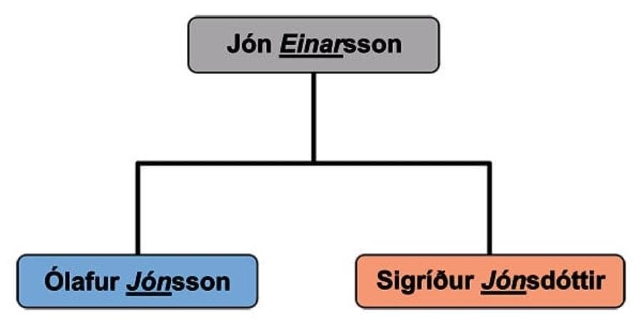 nom, famille, héritage, arbre généalogique