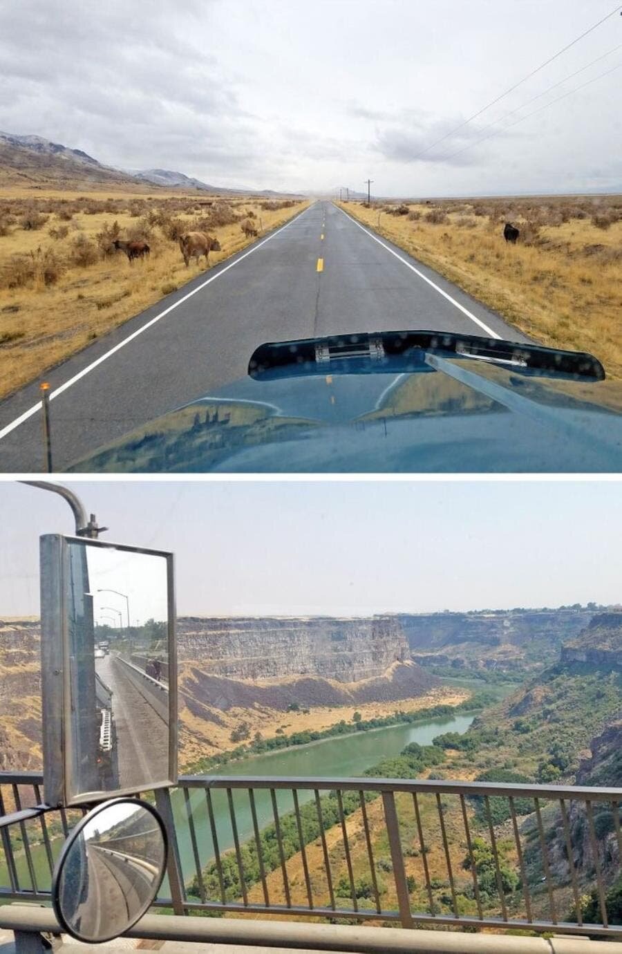 camionneur, photos, camion