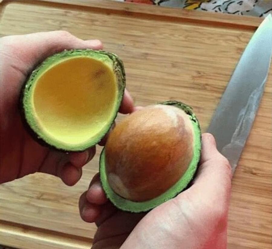 avocat, gros noyau, karma, humour, insolite, nature