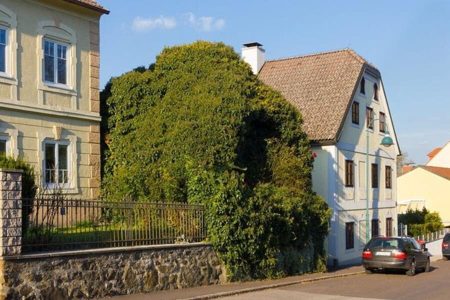 maison, lierre, Mère Nature, insolite, karma