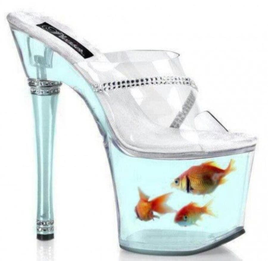 chaussures, moches, laides, bizarres, poissons, vivants
