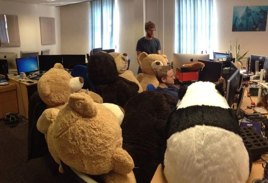 ours, peluche, insolite, réunion, travail, humour