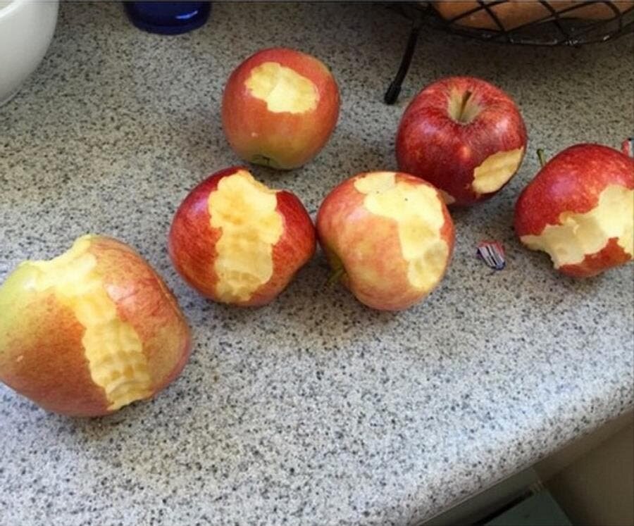 pomme, croc, enfant, insolite, bêtise