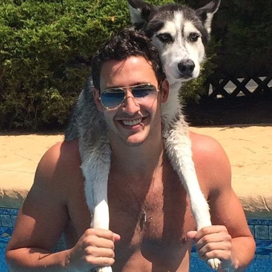 chien, piscine, amour, mignon, insolite