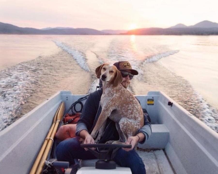 bateau, insolite, chien, loyauté, mignon