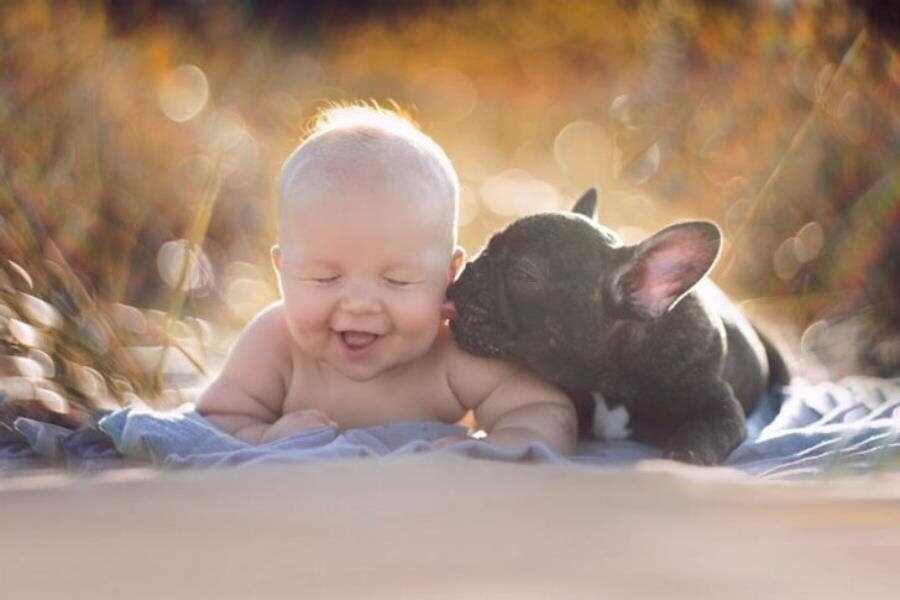 bébé, insolite, chiot, loyauté, mignon