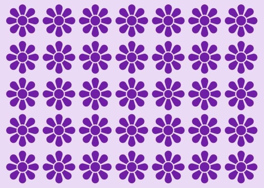 énigme pattern