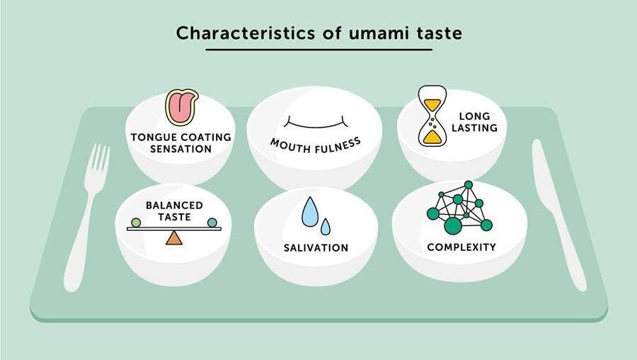 caractéristique, en, bouche, umami, schéma
