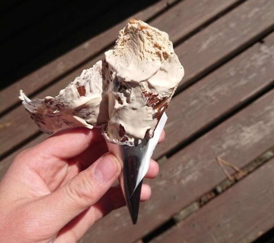 glace, insolite, papier, humour, triste, galère