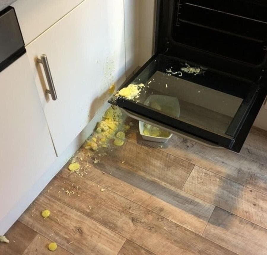 pizza, insolite, galère, humour, seul