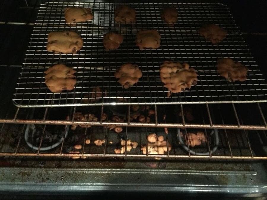cookie, grille, insolite, humour, illogique, erreur