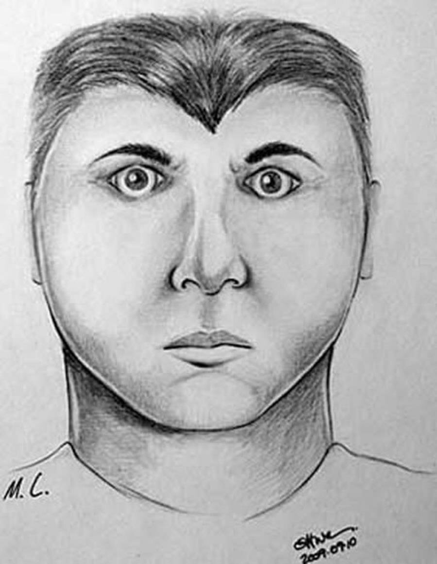 caricature, insolite, humour, portrait robot, police