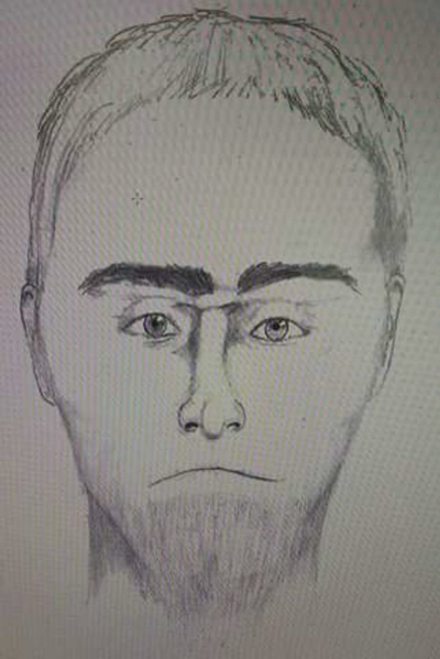 Megamind, insolite, humour, policer, portrait robot