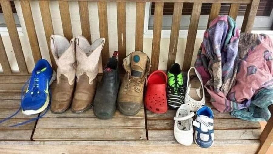 chaussure, chien, cadeaux, voisins, paies, uniques