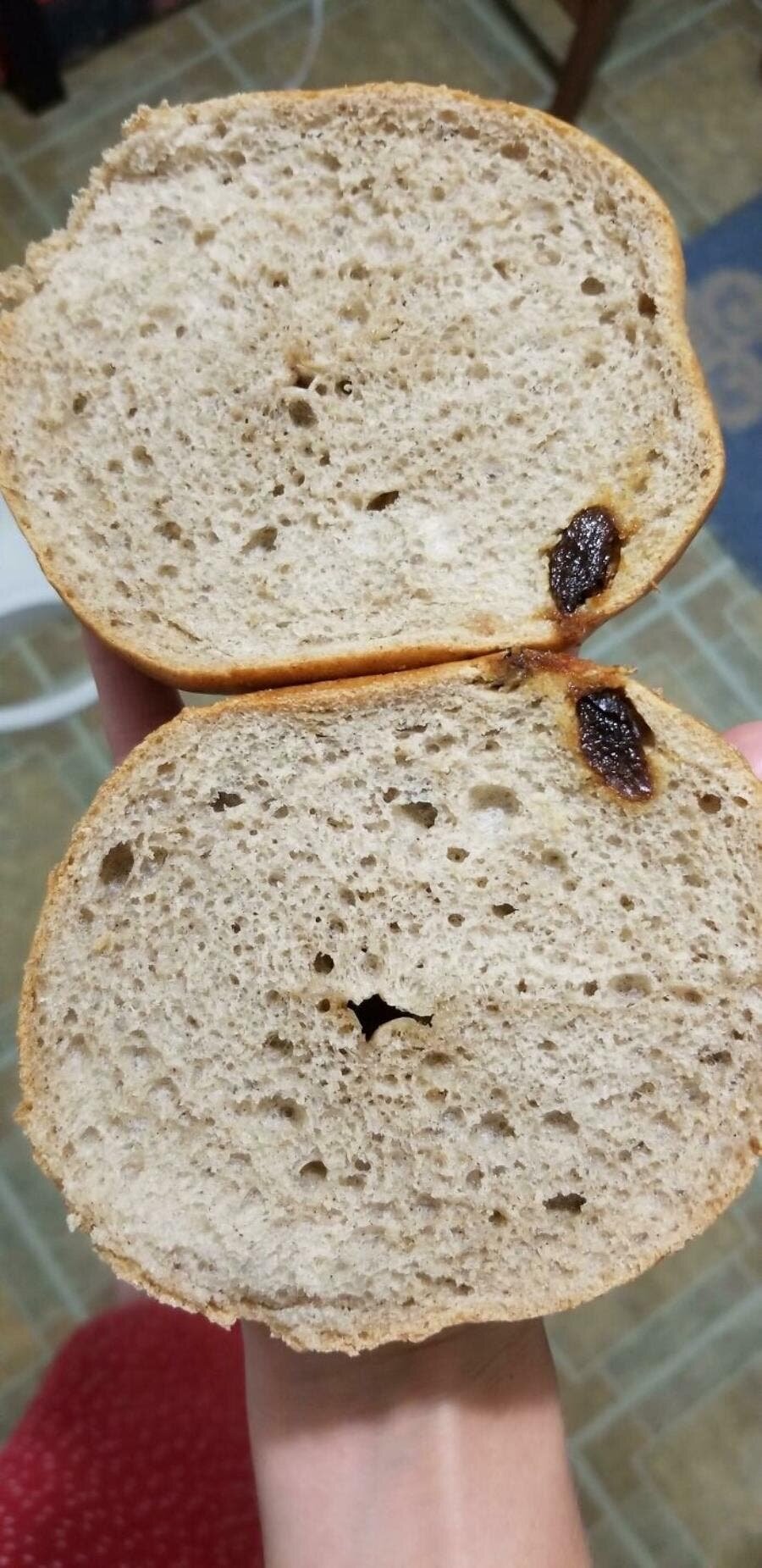 pain, raisin, vide, un seul