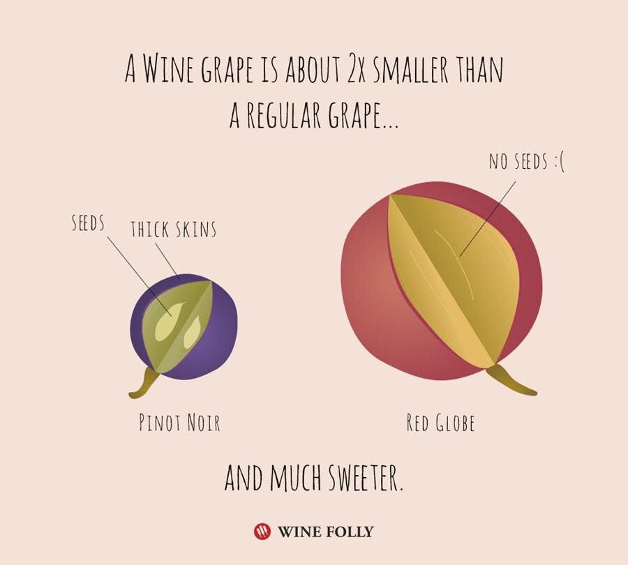 cuve, raison, différence, comparaison