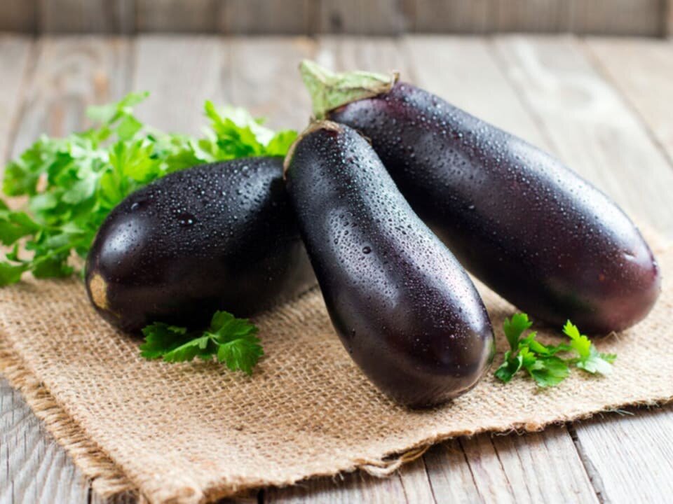 aubergines photo