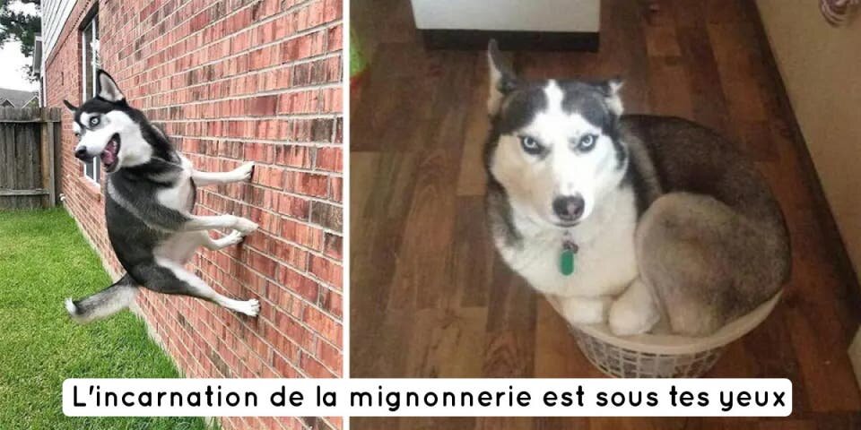 10 photos qui vont te faire regretter ne pas avoir de H...