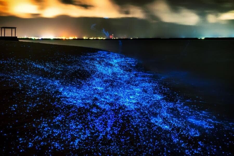 plage scintille lumière