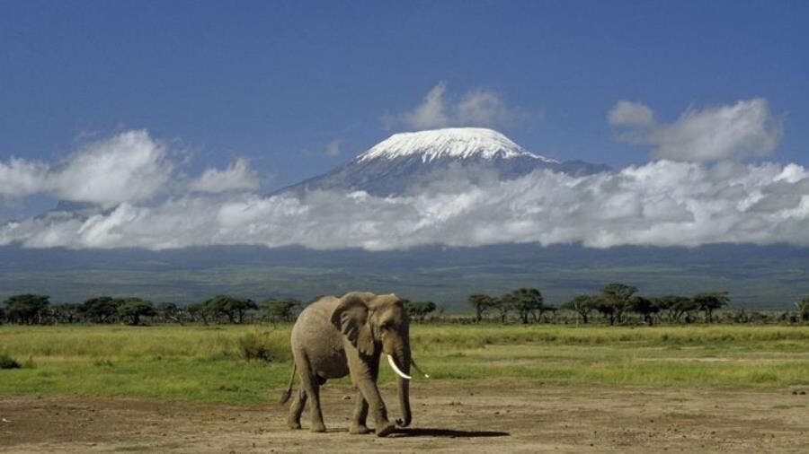 montagne éléphant