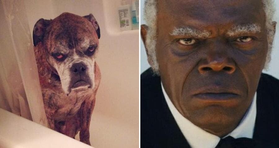 Samuel L.Jackson