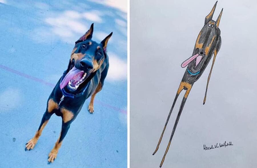 dessin chien