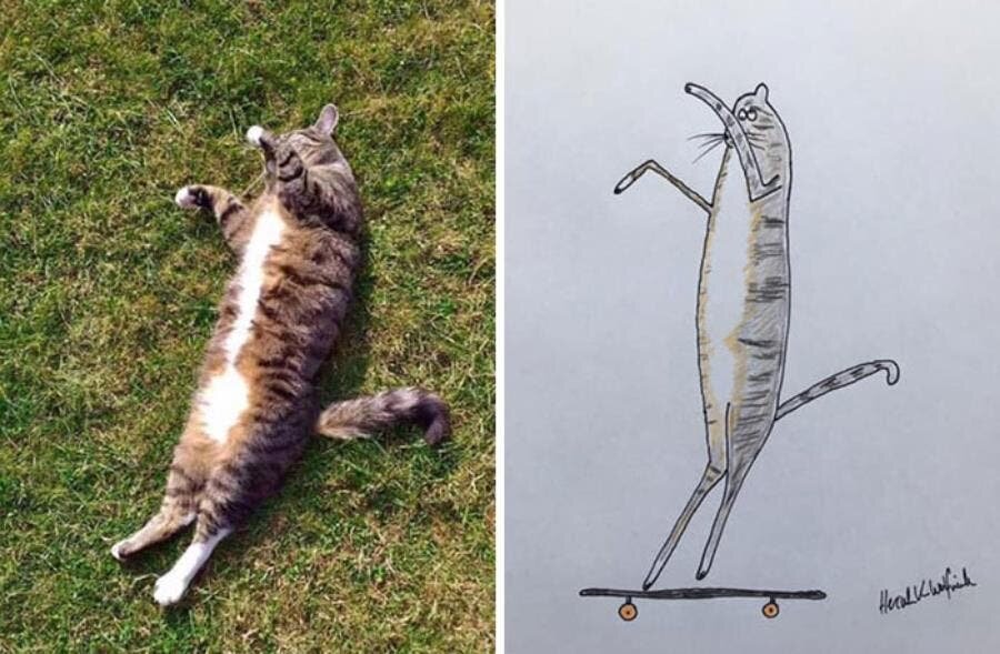 chat dessin