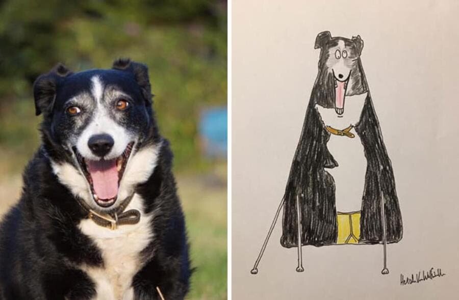 chien dessin