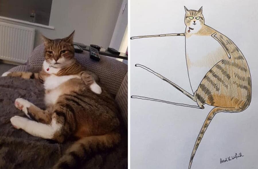 chat dessin
