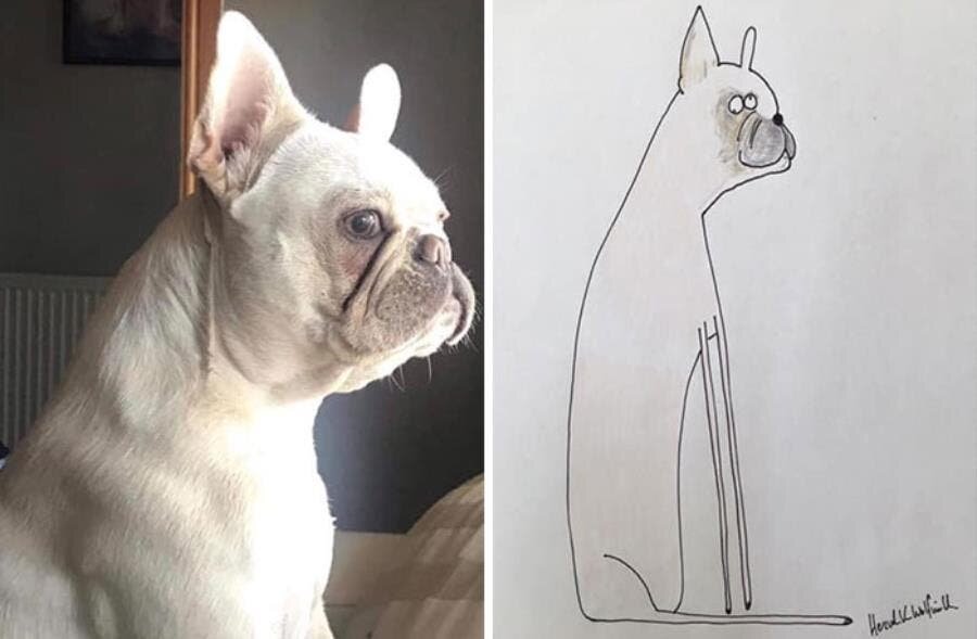 chien dessin