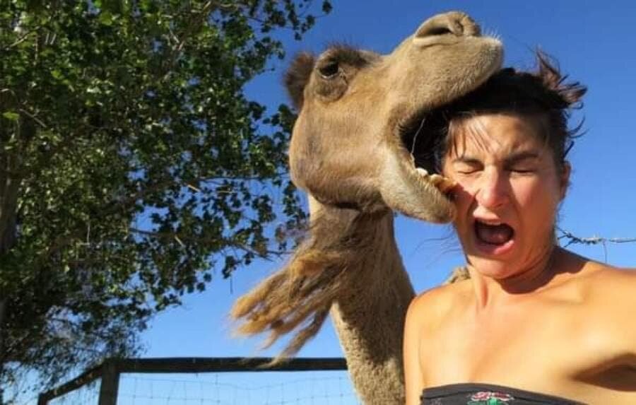 femme dévorer animal