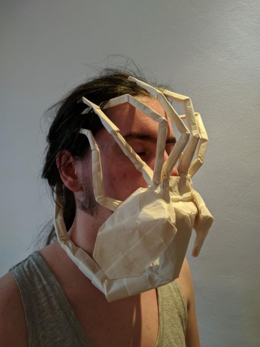 homme arraignée