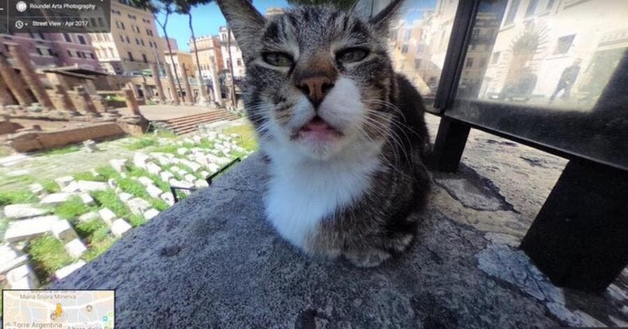 chat photo