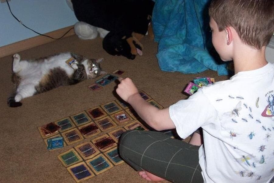 chat cartes garçon