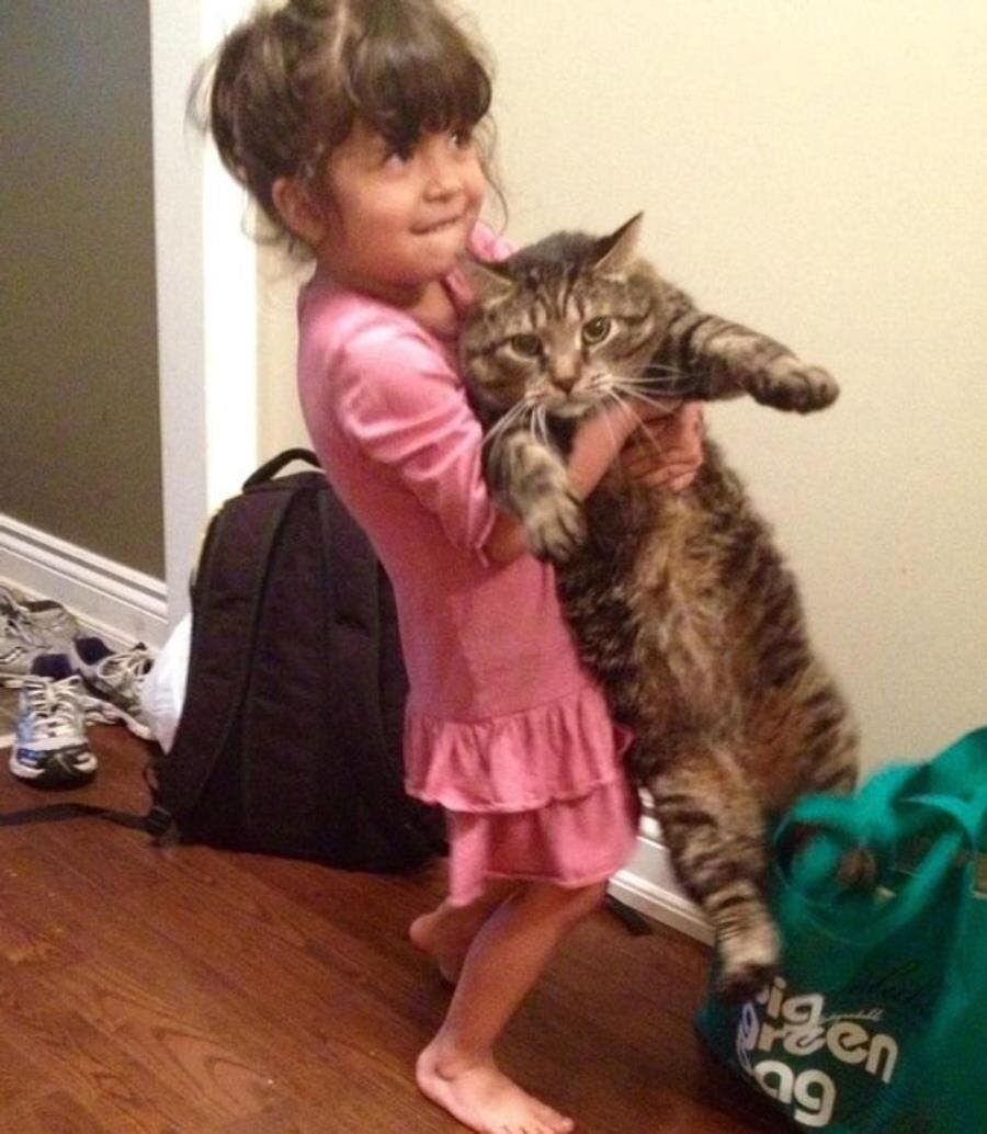 petite fille chat