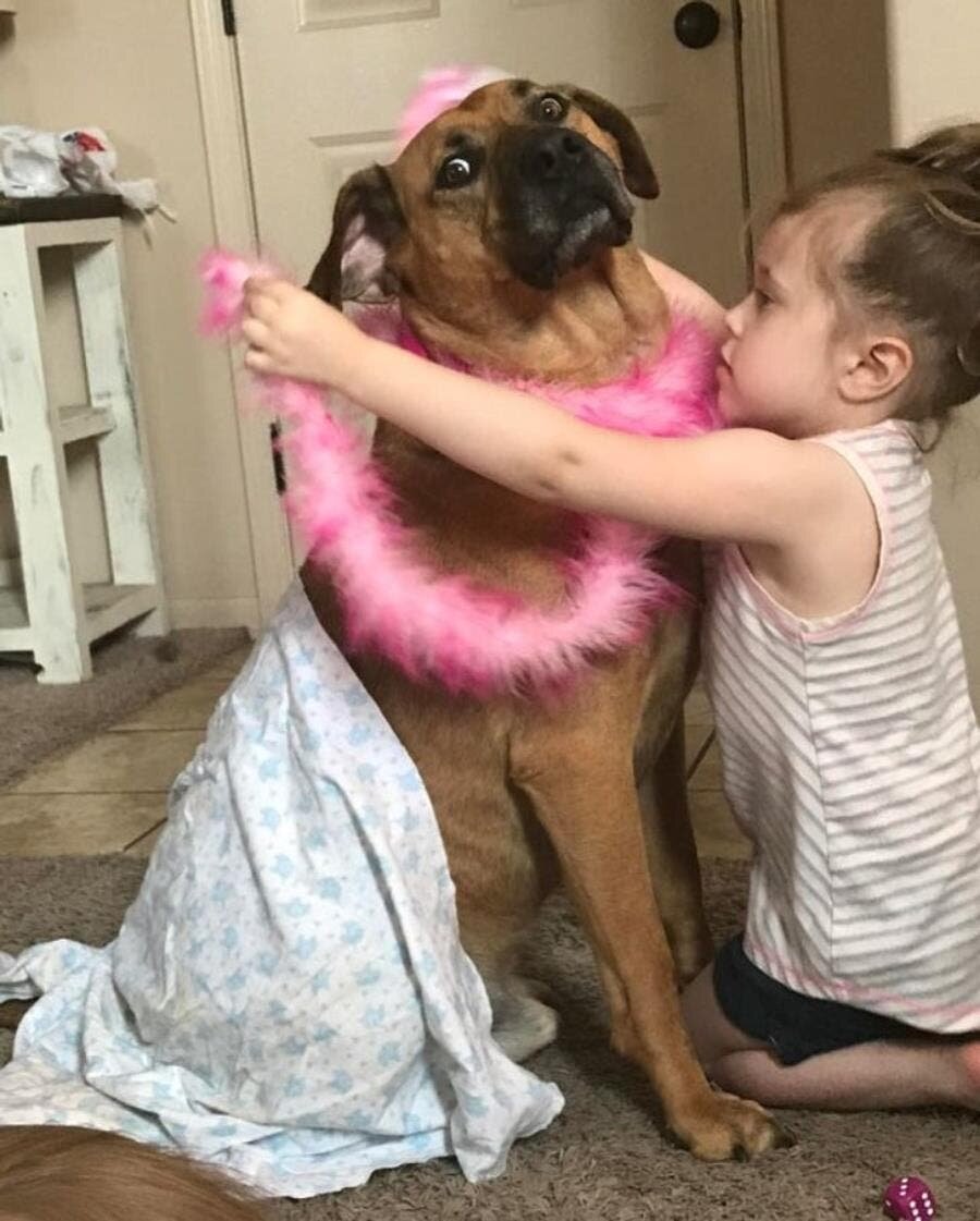 chien petite fille décoration