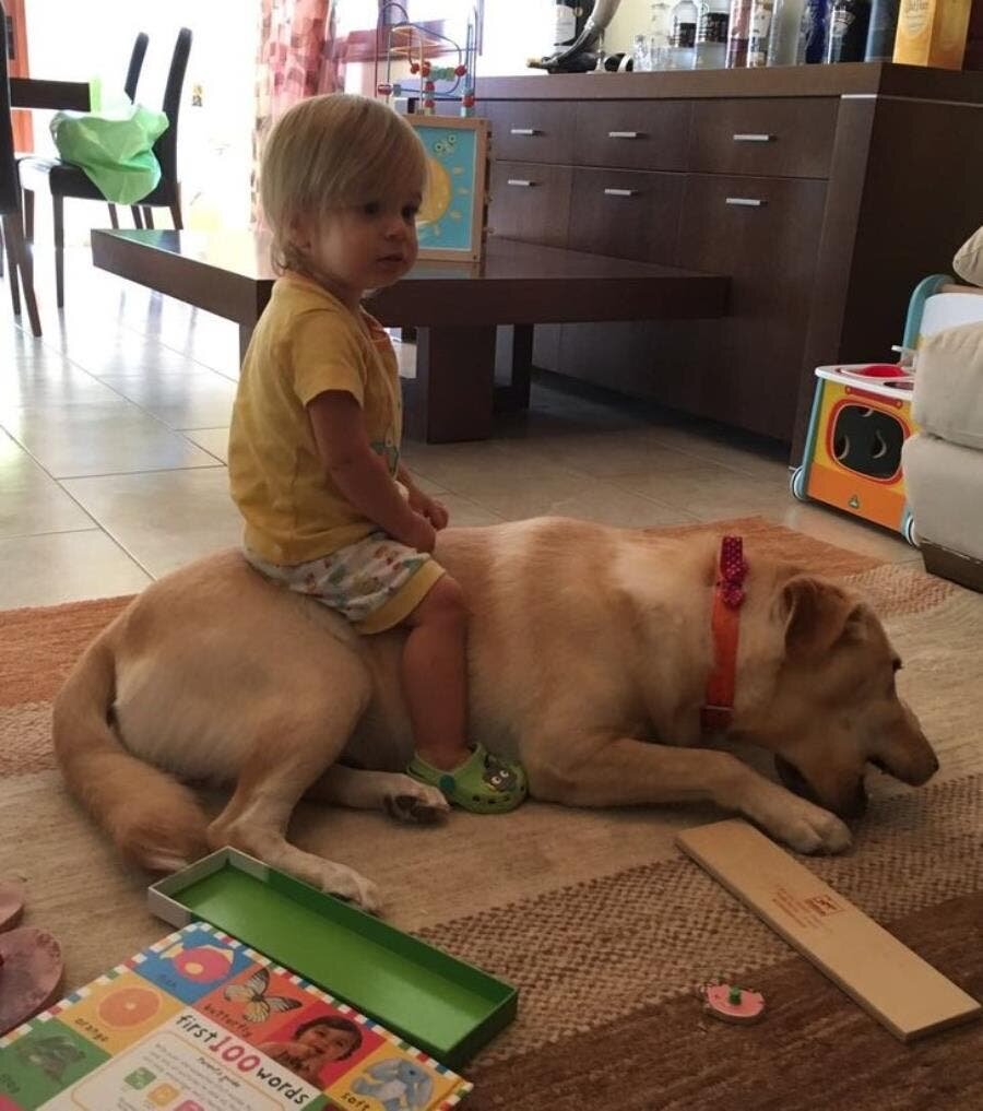 petit garçon chien salon