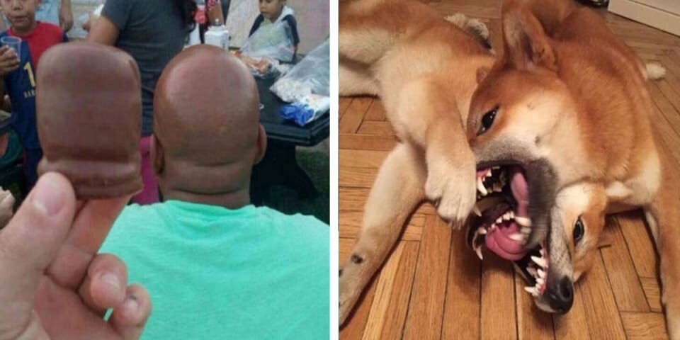 11 photos énigmatiques qui vont faire bouillir ton cerv...