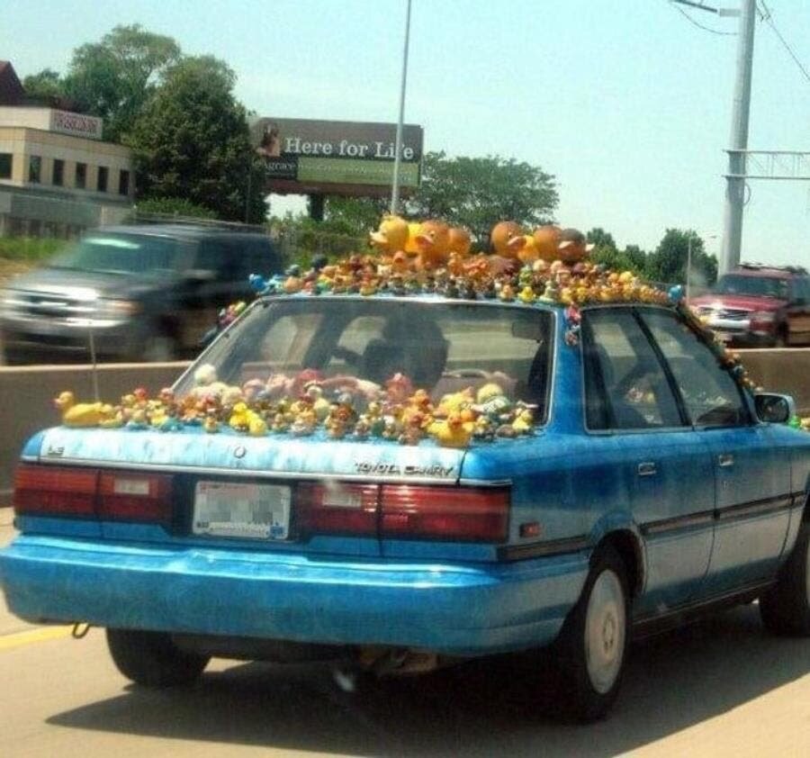 voiture canards jouets