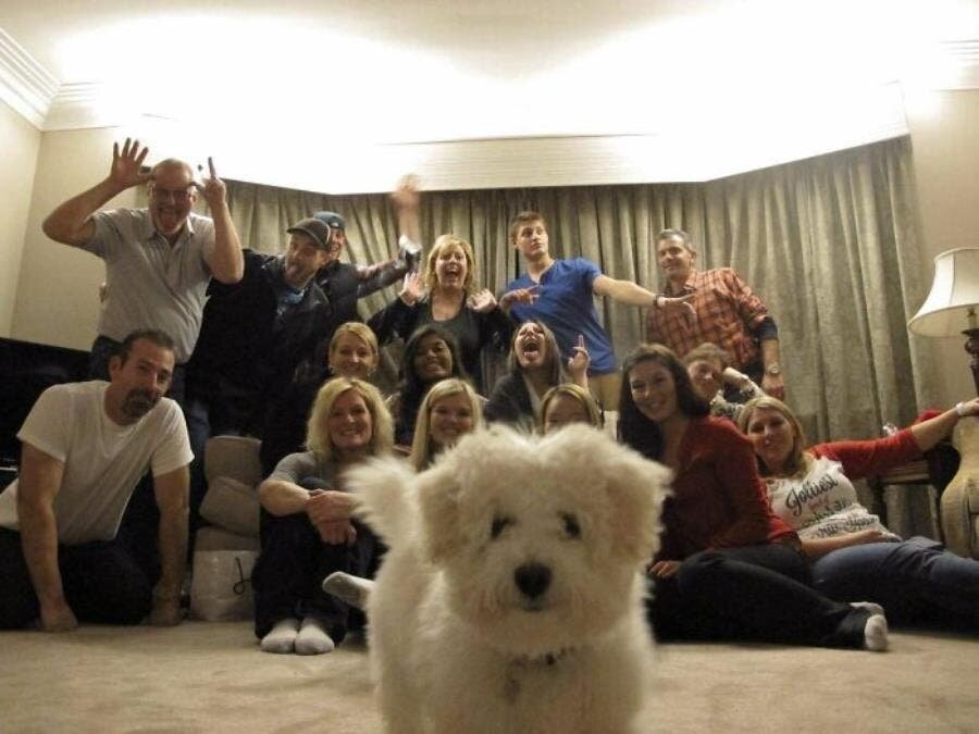 famille personnes chien salle