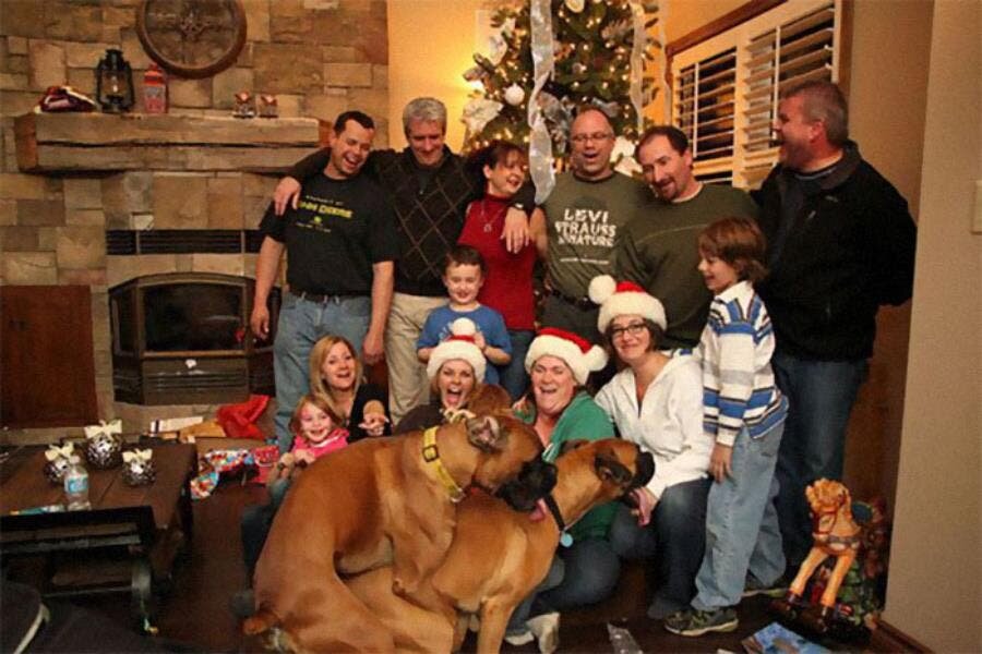 cheminée famille cadeaux chiens