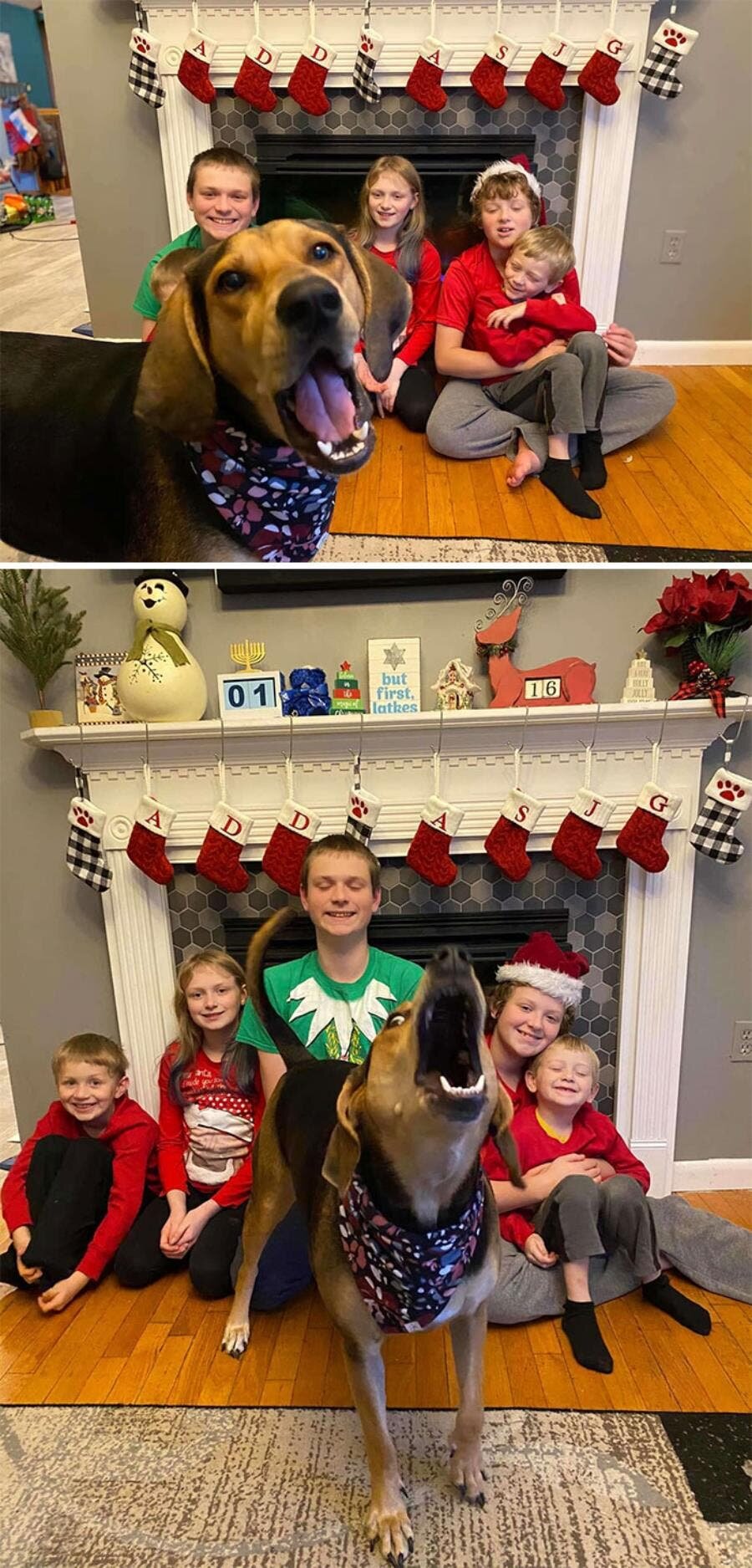 famille enfants cheminée chien noël